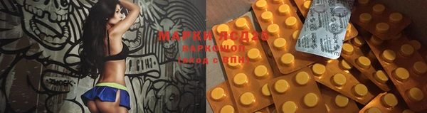 mdpv Новодвинск