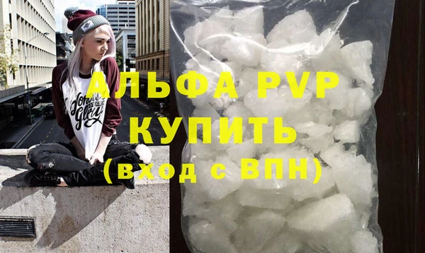 амф Верея