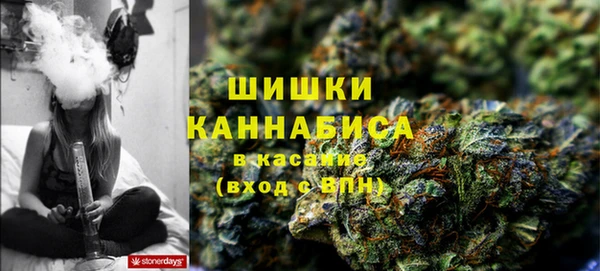 эйфоретик Новокубанск