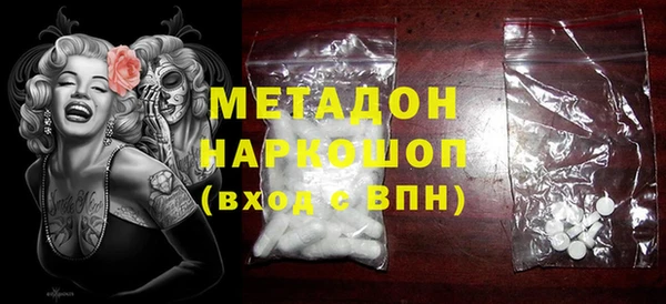 шишки Арсеньев