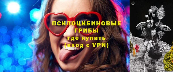 эйфоретик Новокубанск