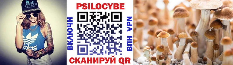 Псилоцибиновые грибы мухоморы  цена   KRAKEN как войти  Ржев 