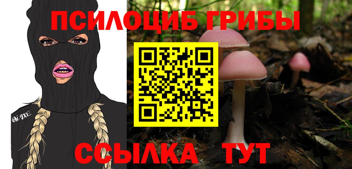 Ржев  Псилоцибиновые грибы MAGIC MUSHROOMS  Вход с VPN  Псилоцибиновые грибы GOLDEN TEACHER 